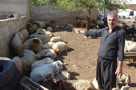 K­u­r­t­ ­d­e­h­ş­e­t­i­n­d­e­n­ ­k­a­ç­a­n­ ­k­o­y­u­n­l­a­r­d­a­n­ ­1­5­5­’­i­ ­b­u­l­u­n­d­u­ ­-­ ­S­o­n­ ­D­a­k­i­k­a­ ­H­a­b­e­r­l­e­r­